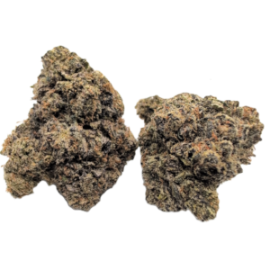 ADL X Zangria by Wizard Trees