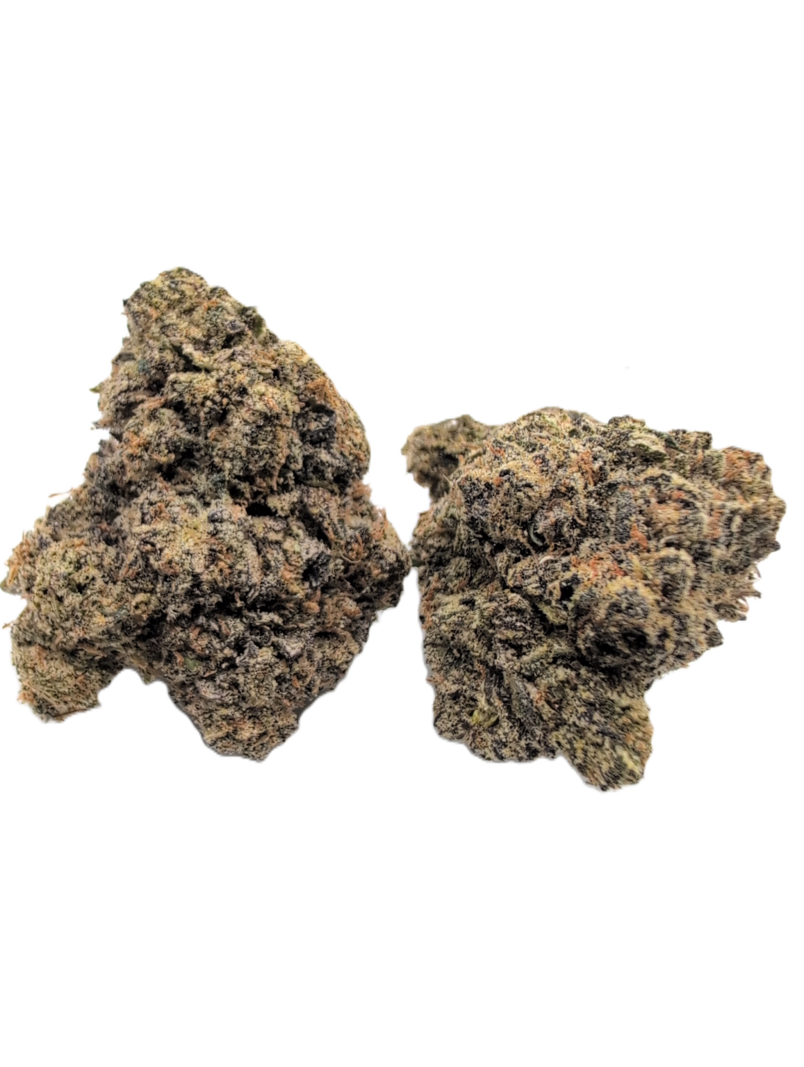 ADL X Zangria by Wizard Trees