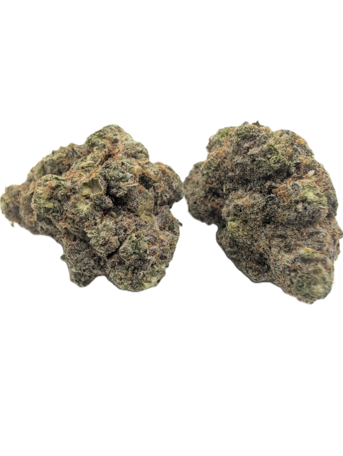 Fryday Boof