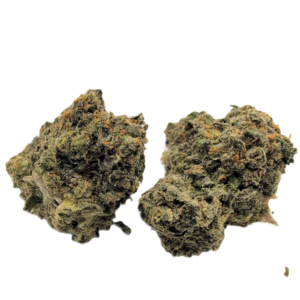 Guava