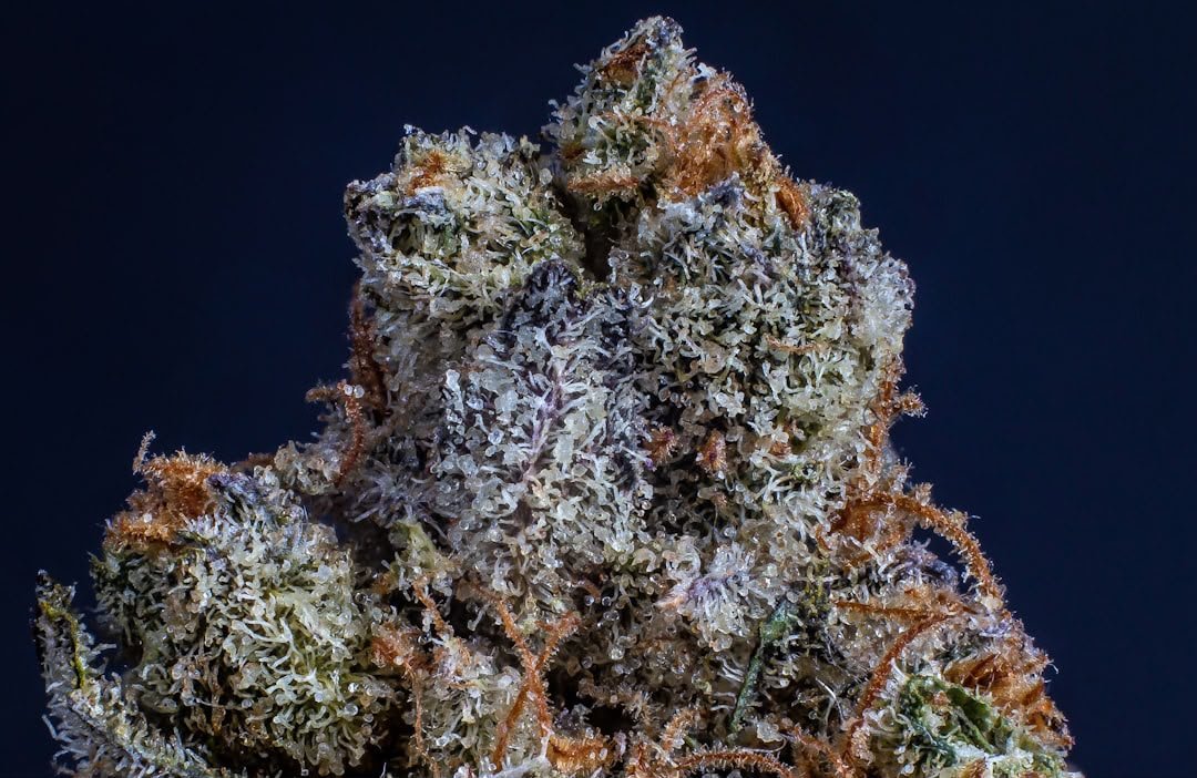 THC Flower