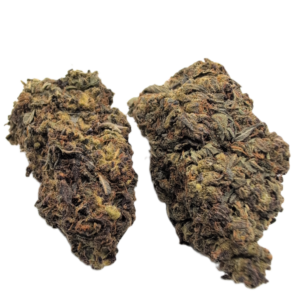White Rhino