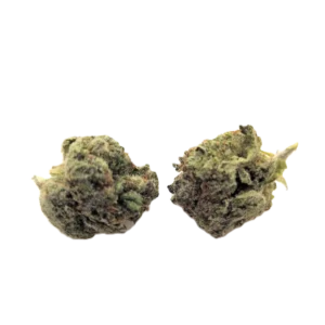 Guava O