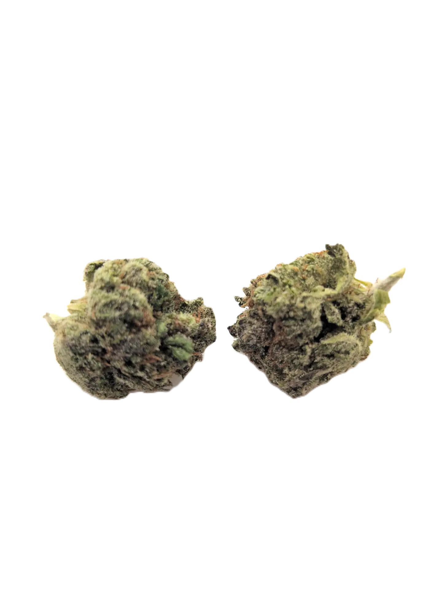 Guava O